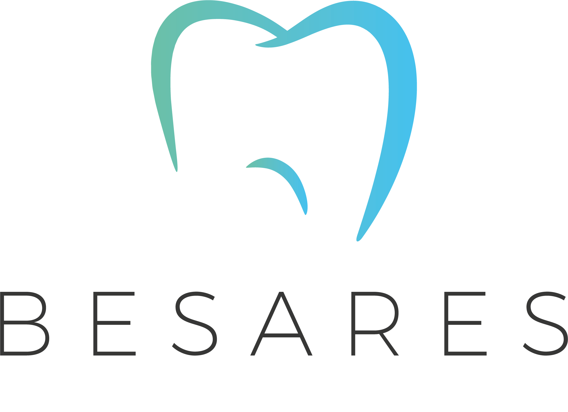 logo besares